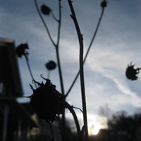 Paul Green Photo 51