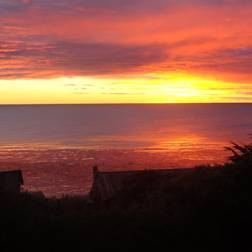 Debbie Wyatt Photo 37
