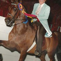 Ellen Rees Photo 16