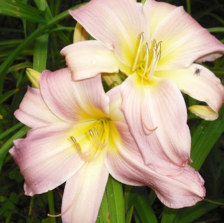 Colleen Turner Photo 39