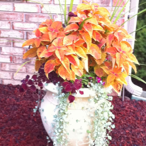 Michelle Mattox Photo 17