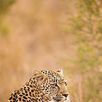 Amit Rathee Photo 18