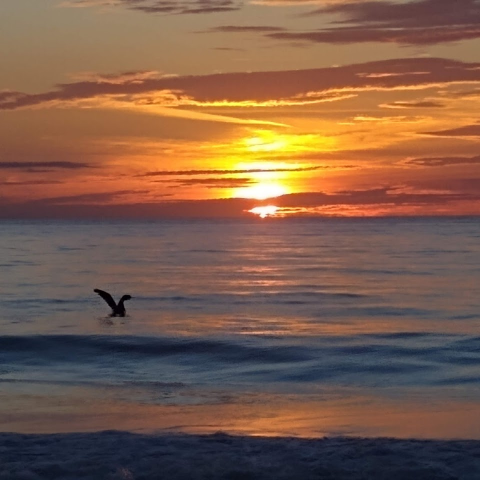 Paul Sutton Photo 41