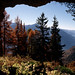 Erik Wallis Photo 9