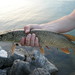 Jared Pike Photo 14