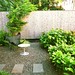 Susan Goldberg Photo 17
