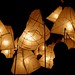 Dan Fox Photo 33