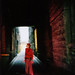 Bruce Lane Photo 45