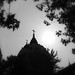 Marie Spires Photo 8
