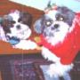 Judy Ward Photo 37