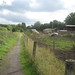 Bonnie Lane Photo 40