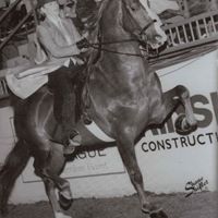 Lori Murphy Photo 29