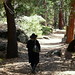 Theodore Lowe Photo 16