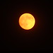 Martin Moon Photo 17
