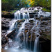 James Vogel Photo 39