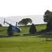 Ruthann Robinson Photo 10