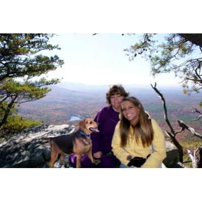 Lynn Garner Photo 17