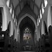 James Dowley Photo 7