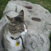 Mark Entremont Photo 7
