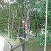 Jason Forest Photo 18