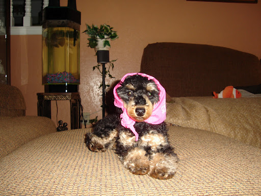 Warren Ervin Photo 4