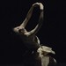 Anna Ruch Photo 6