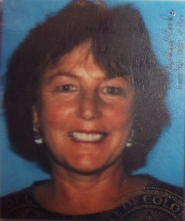 Vicki Allen Photo 23