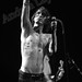 Brandon Reis Photo 17