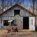 Jane House Photo 13