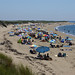 Larry Herring Photo 12