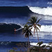 Steve Fitzpatrick Photo 10
