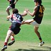 Michael Shearer Photo 23