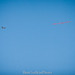 Austin Scott Photo 32