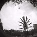 James Milam Photo 19