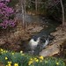Tom Randolph Photo 26