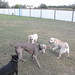 Cyrus Bailey Photo 8