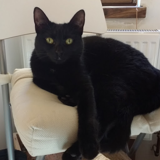 Mark Darby Photo 15 Mark Darby Photo 15