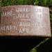 Jane Henry Photo 41