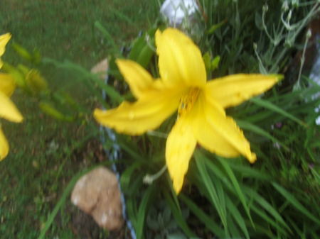 Jane Crowder Photo 14