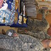 Steven Collier Photo 22