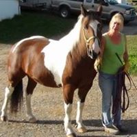 Deborah Yoder Photo 5