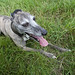 Jenny Krause Photo 16