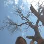 Deborah Farris Photo 25