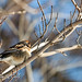 John Ritchey Photo 19