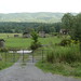 Virginia Thompson Photo 13