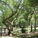 Debra Groves Photo 27
