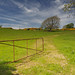 Ross Gates Photo 8