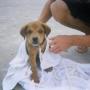 Joe Newton Photo 11