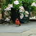 Marie Garrison Photo 22