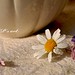 Marguerite Potts Photo 1